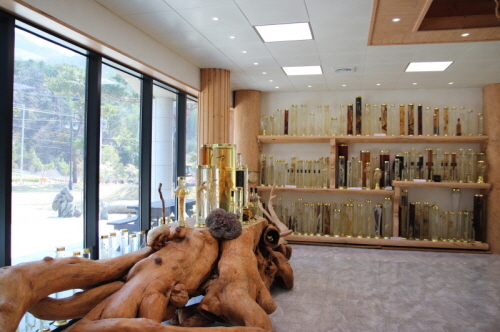 내부 큰 소나무 창가